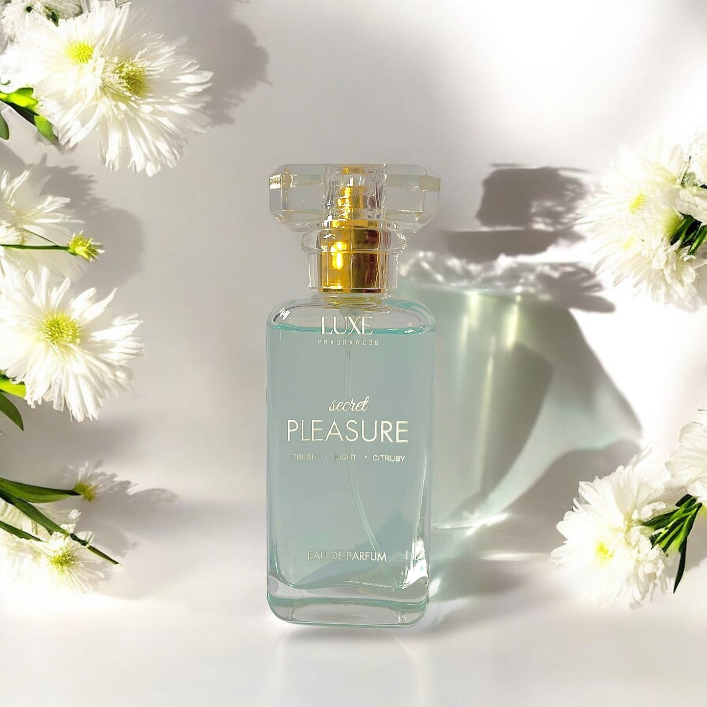 PLEASURE