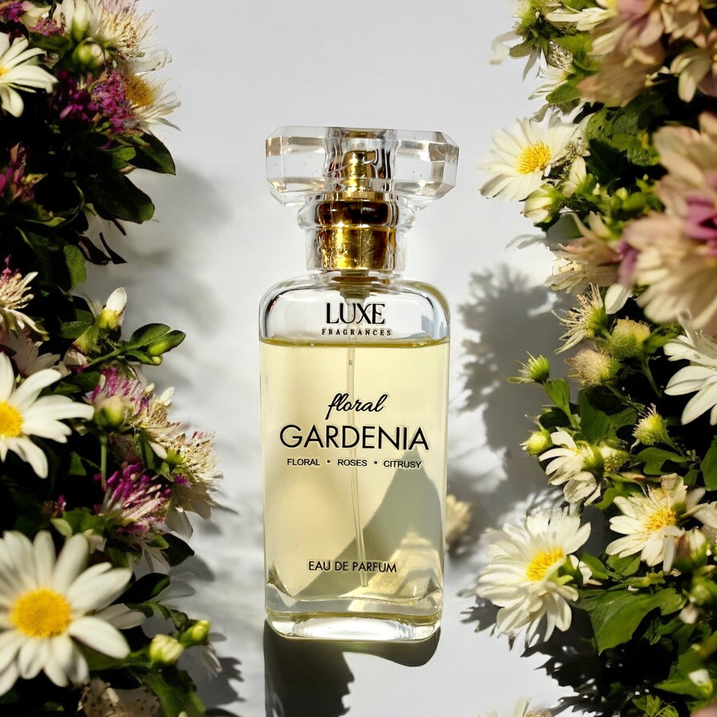 Floral Gardenia